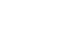 VITRUVIUS LOGO (1)